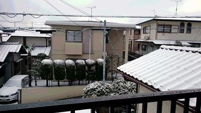 初雪