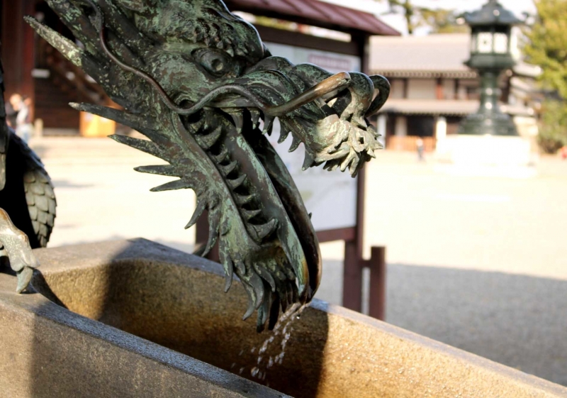 竜2016京都