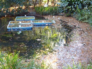 s-P1090337.jpg
