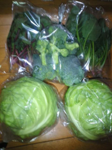 野菜2