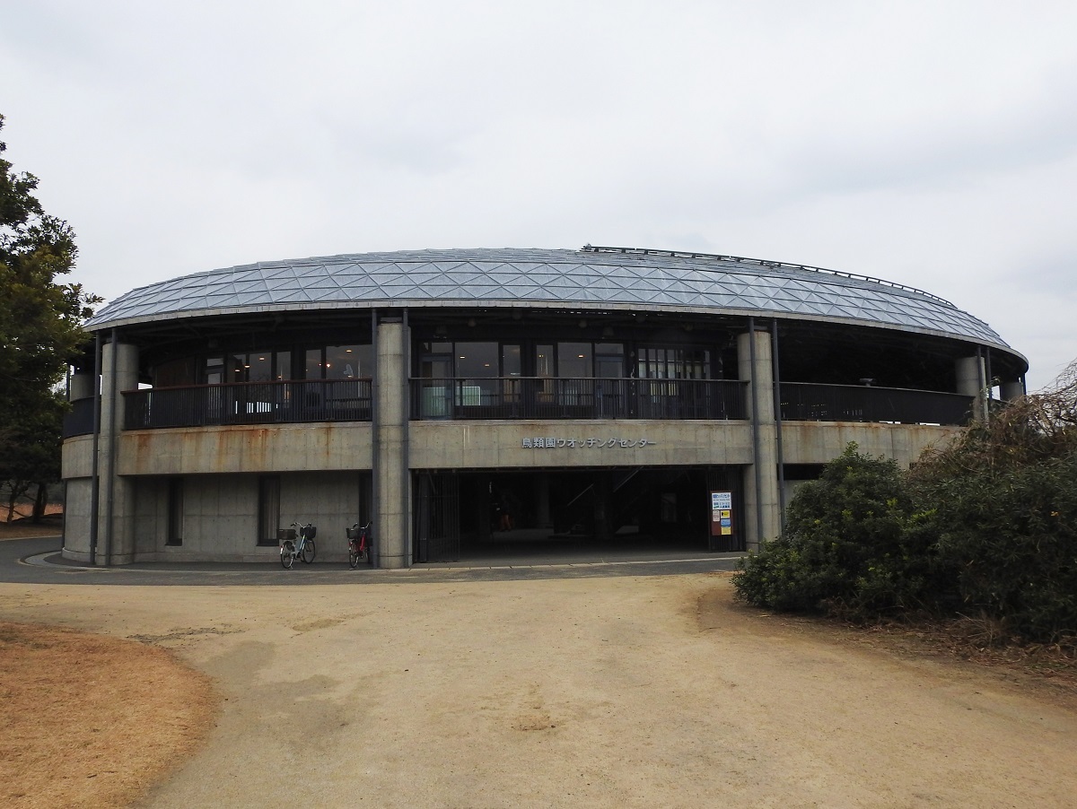 葛西臨海公園DSCN1116