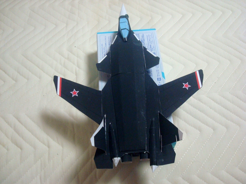 Su-47_Berkut_top.jpg