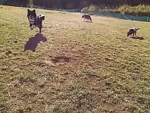 012_20170124230144ef0.jpg