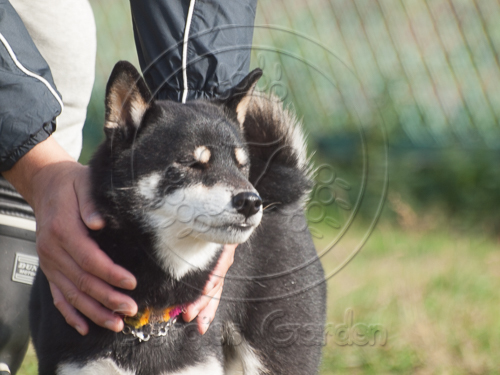 201601120-6.jpg