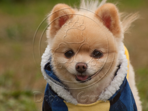 201601123-9.jpg