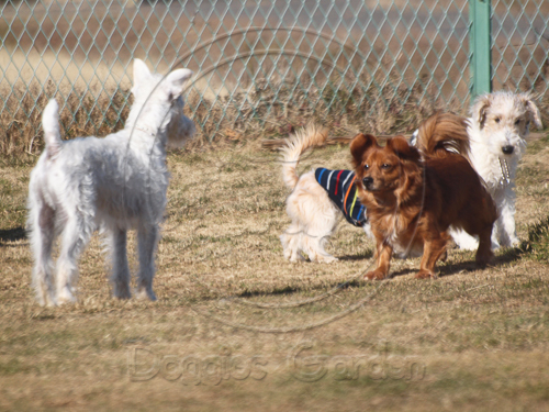 20170128-16.jpg