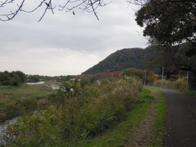 花水川沿い１６１１１６
