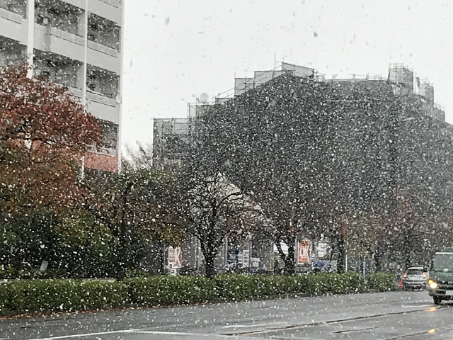 雪の日 (2)