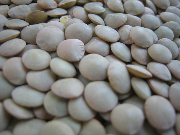 エジプトの国民食「コシャリ」がバカウマい_レンズ豆