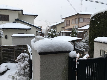 雪/夕方