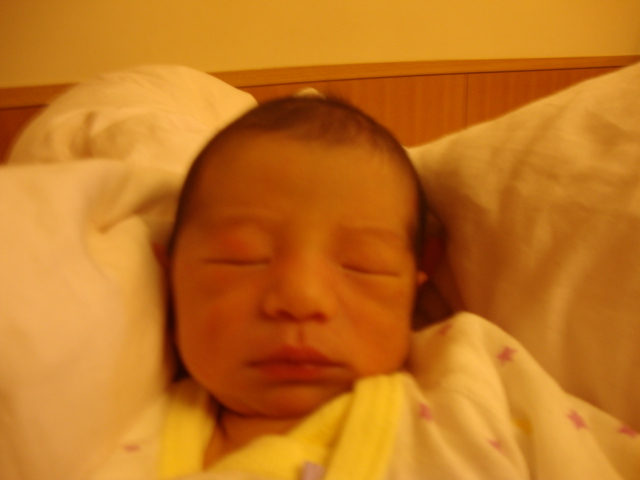DSC07481.jpg