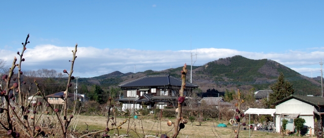 ☆IMGP2727