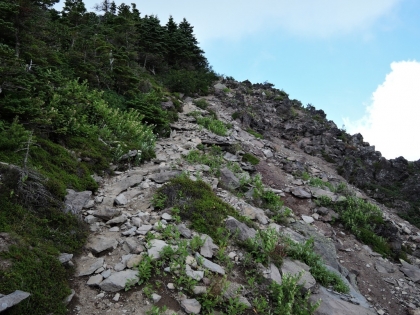 20160807_1316_55.jpg
