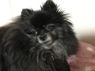 2017-1-28-03.jpg
