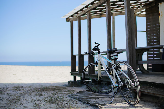 白砂青松の弓ヶ浜サイクリングコース皆生海岸ルート