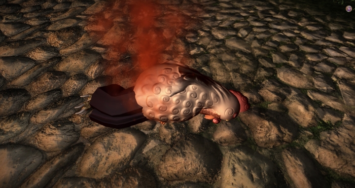 habataki3.jpg