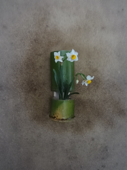 花11