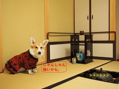 しゅんしゅん