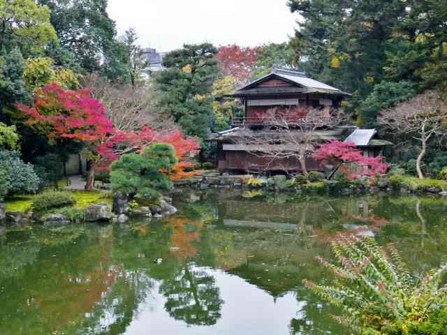 京都御苑4