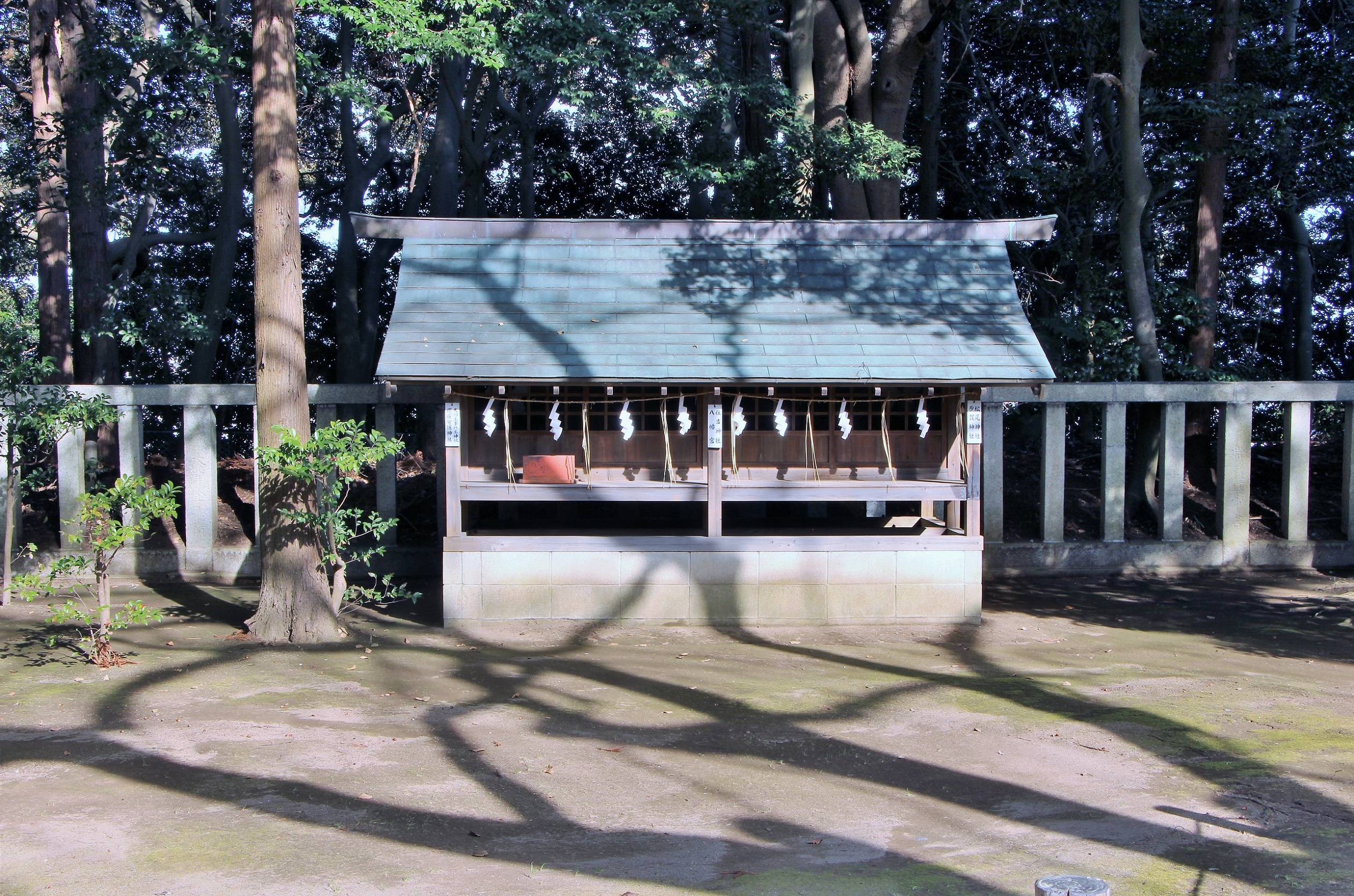 吉田神社 - 参道を行く 吉田神社 - 参道を行く