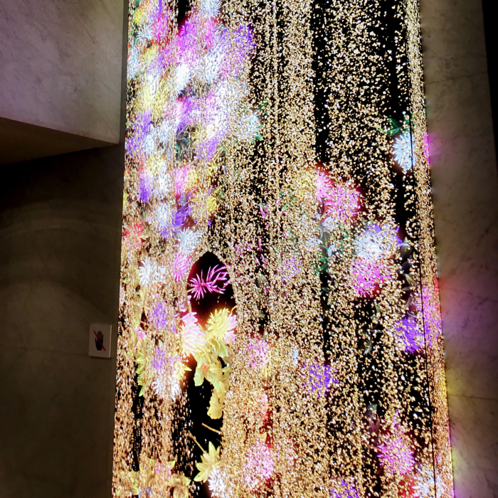 徳島LEDアートフェスティバル Flowers in the Sandfall