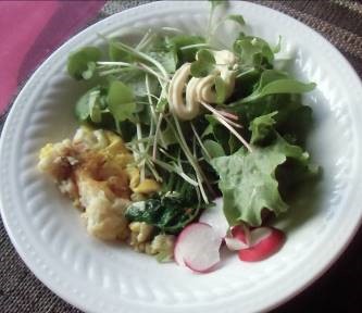 朝の生野菜サラダと卵焼き１