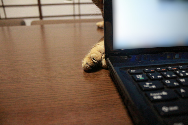 blog_000009063.jpg