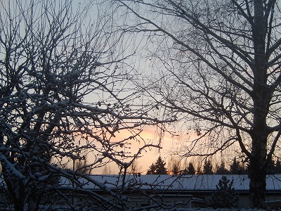 冬の朝
