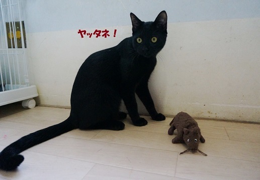 えびす2