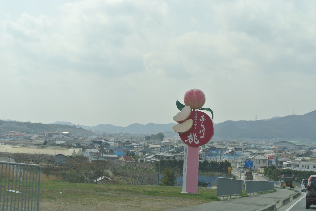 13年 桃源郷運動公園 花見 あら川桃源郷 紀の川市桃山町 竹房 ぎゃるまま日記 ギャルママ日記 関西グルメ情報 おでかけ情報