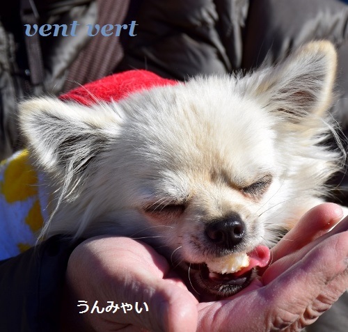 寒すぎ10