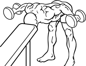 476px-Bent-over-rear-delt-row-with-head-on-bench-1-crop.png