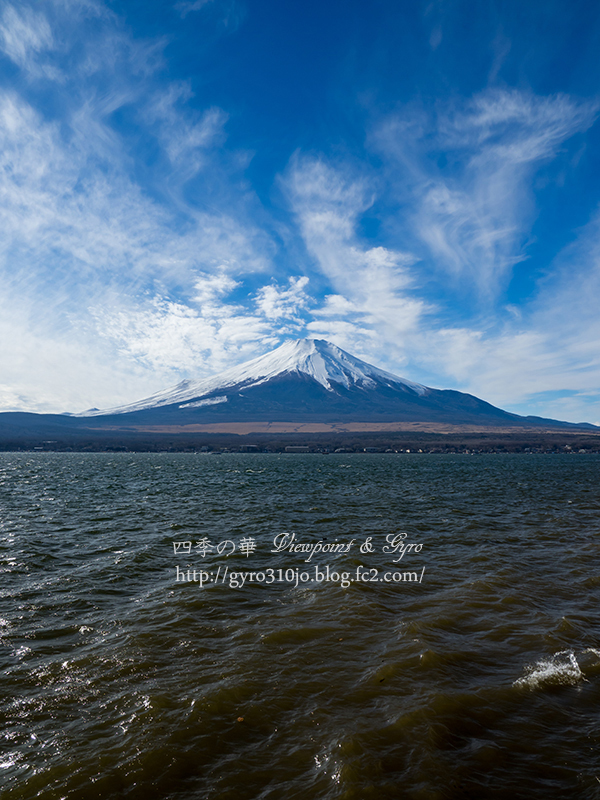 富士山　D