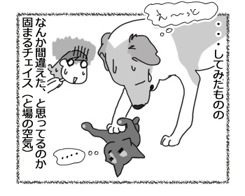 羊の国のラブラドール絵日記シニア!!「猫語は難しいデース」4