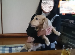 2016_11_26_003ブログ用