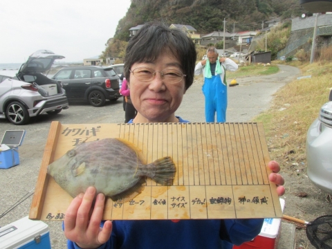 あられカワハギ