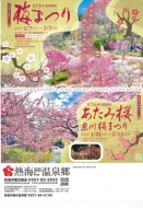 熱海桜20170118-09