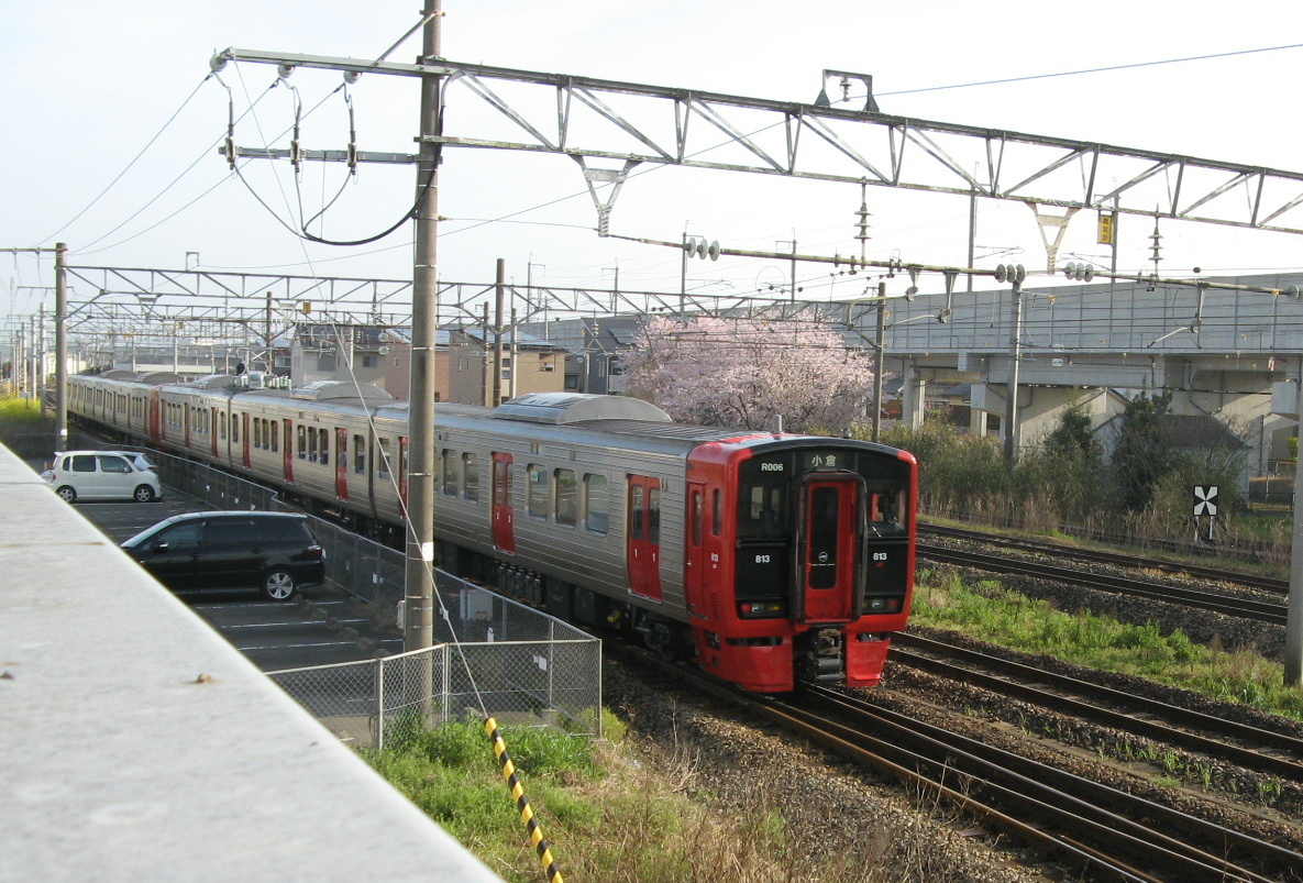 桜と813系電車の写真