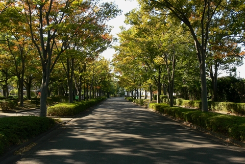 埼玉古墳公園