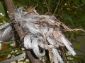 DSCN2832.jpg