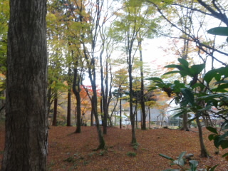 湖東三山百済寺の紅葉