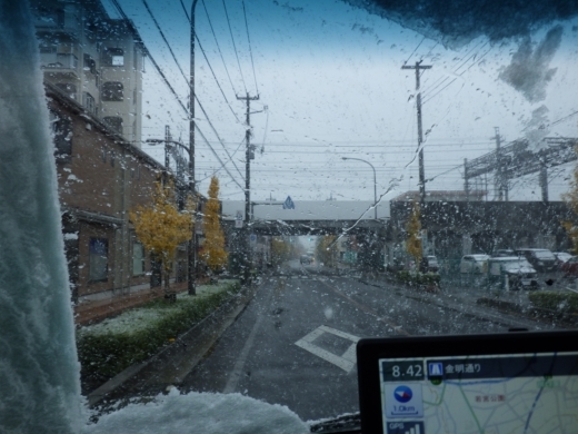 東京11月の雪 (5)