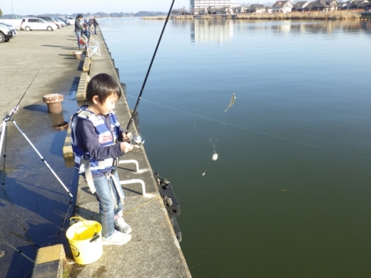 土浦港でワカサギ釣り (24)