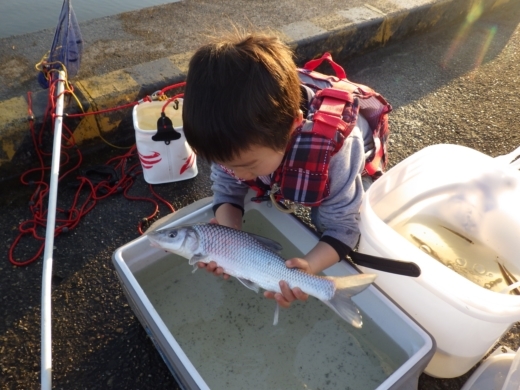 土浦港でワカサギ釣り (36)