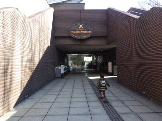 茨城県自然博物館 (4)