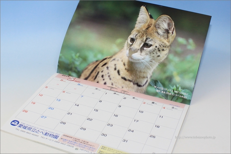 とべ動物園のオリジナル公式カレンダー　2019年度バージョン