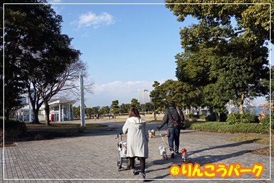 DSC02873.jpg