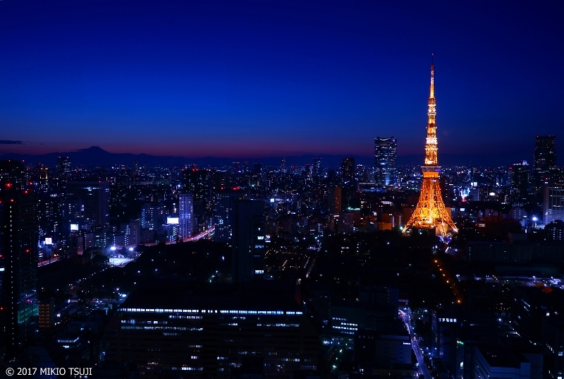 0117 ウィンターブルー  東京タワーの夜景 （東京都 港区）